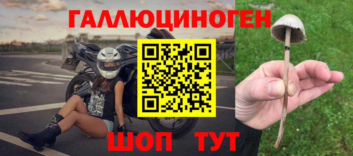 Галлюциногенные грибы Cubensis Златоуст
