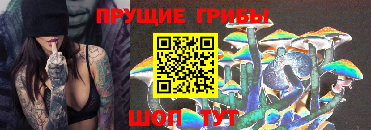 Златоуст  Псилоцибиновые грибы GOLDEN TEACHER  Псилоцибиновые грибы Cubensis  Вход с VPN 